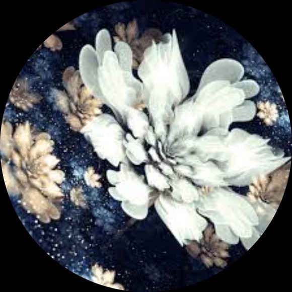 Meet your Posher, Lane - Picture 1 of 1